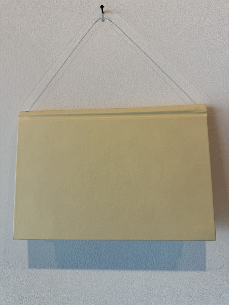 Der Kunstbestatter. Die Asche.