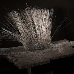 Tu me hérisses le poil/Carapace III