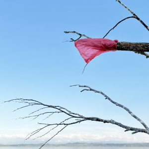 Khamekaye - in situ installation/Detail