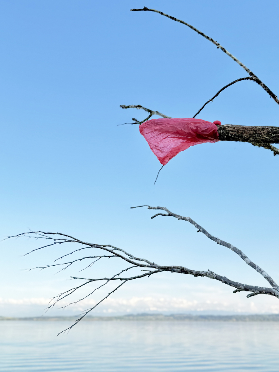 Khamekaye - in situ installation/Detail