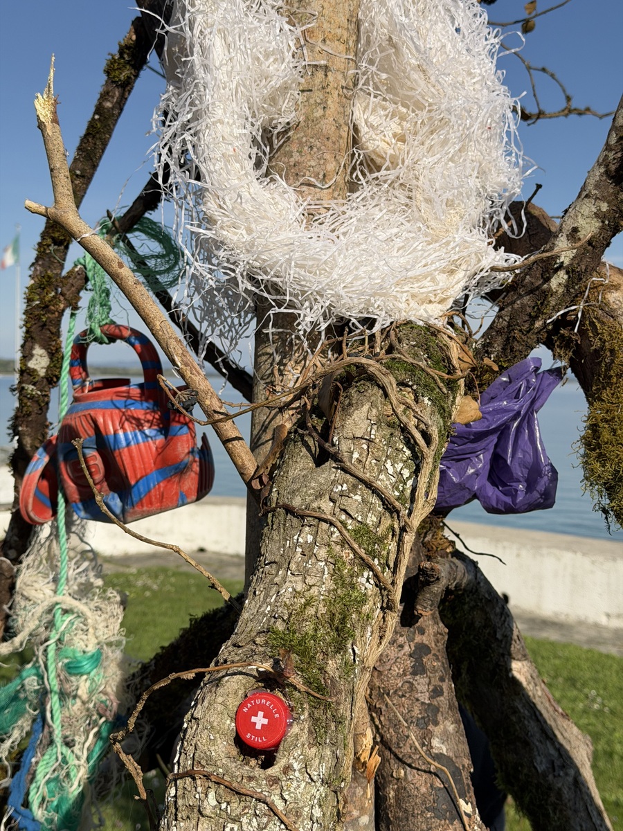 Khamekaye - in situ installation/Detail