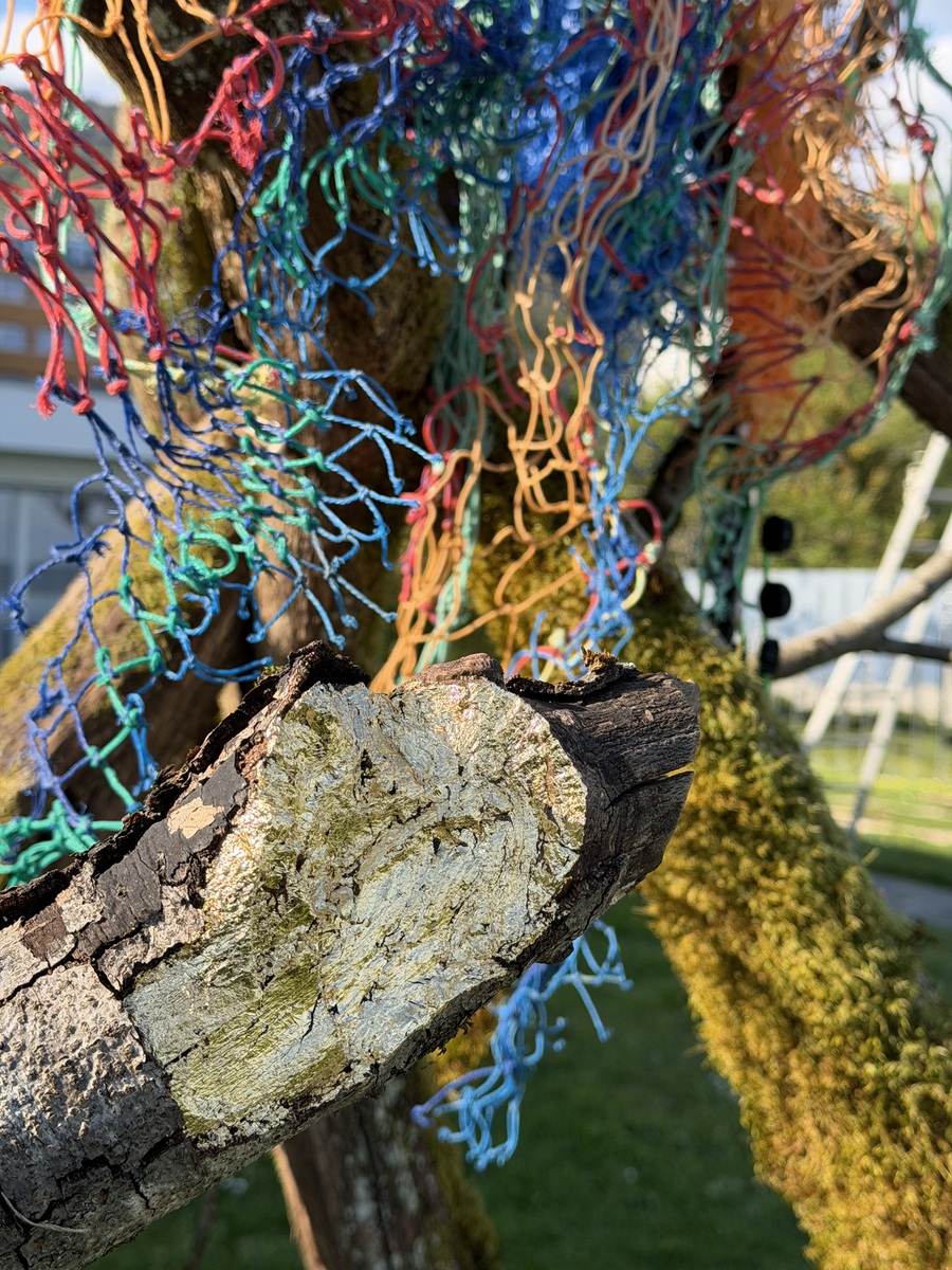 Khamekaye - in situ installation/Detail